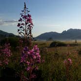 Review photo of 2S1 Yellowstone National Park Backcountry — Yellowstone National Park by Dexter I., August 12, 2019