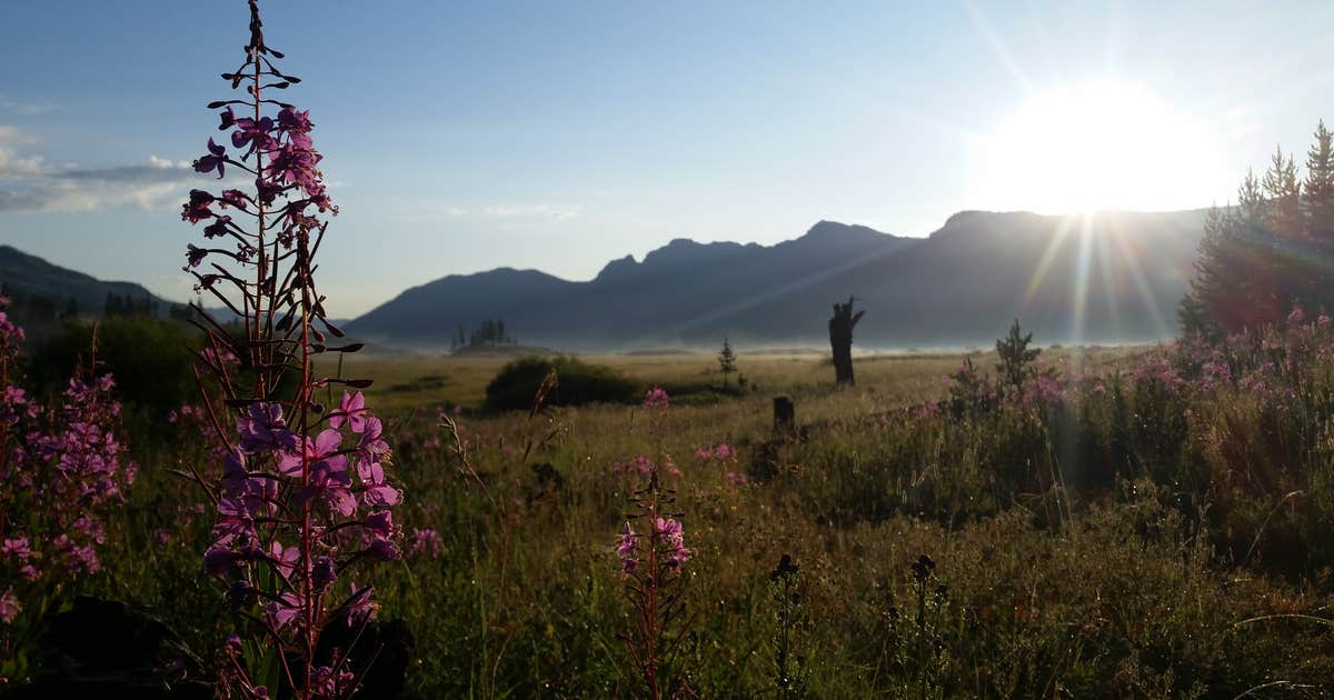 2S1 Yellowstone National Park Backcountry — Yellowstone National Park