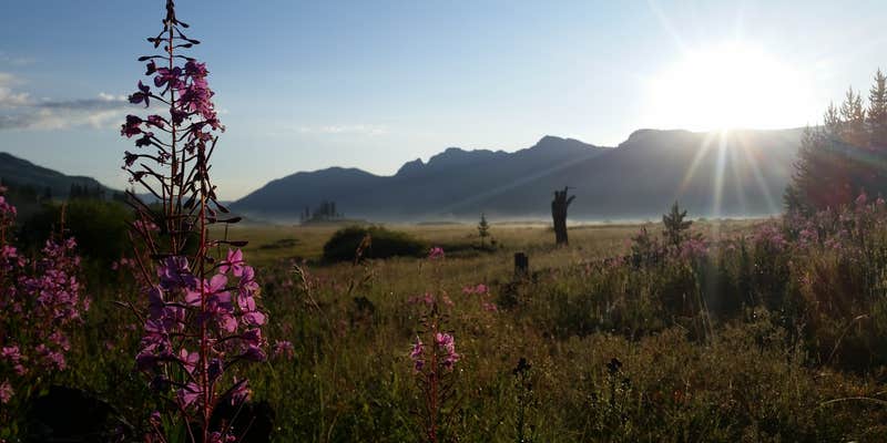 Camper submitted image from 2S1 Yellowstone National Park Backcountry — Yellowstone National Park