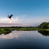 Review photo of Palmetto Ridge Campground — Myakka River State Park by Perry J., August 12, 2019