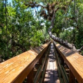 Review photo of Palmetto Ridge Campground — Myakka River State Park by Perry J., August 12, 2019