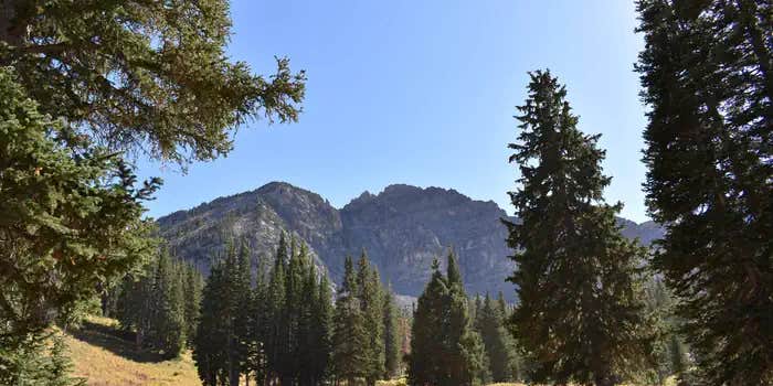 Camper submitted image from Albion Basin