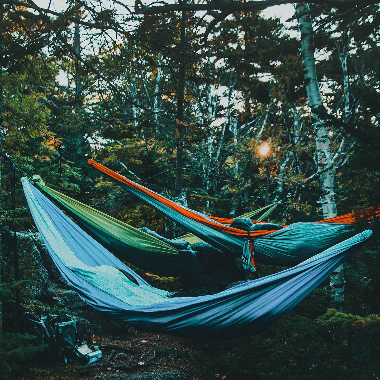 Camper submitted image from Mulberry River Outdoor Adventures - 4