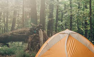 Kristy F.'s photo at Mulberry River Outdoor Adventures near Winslow, AR