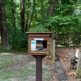 Review photo of Cloudland Canyon State Park Campground by Alicia C., August 12, 2019
