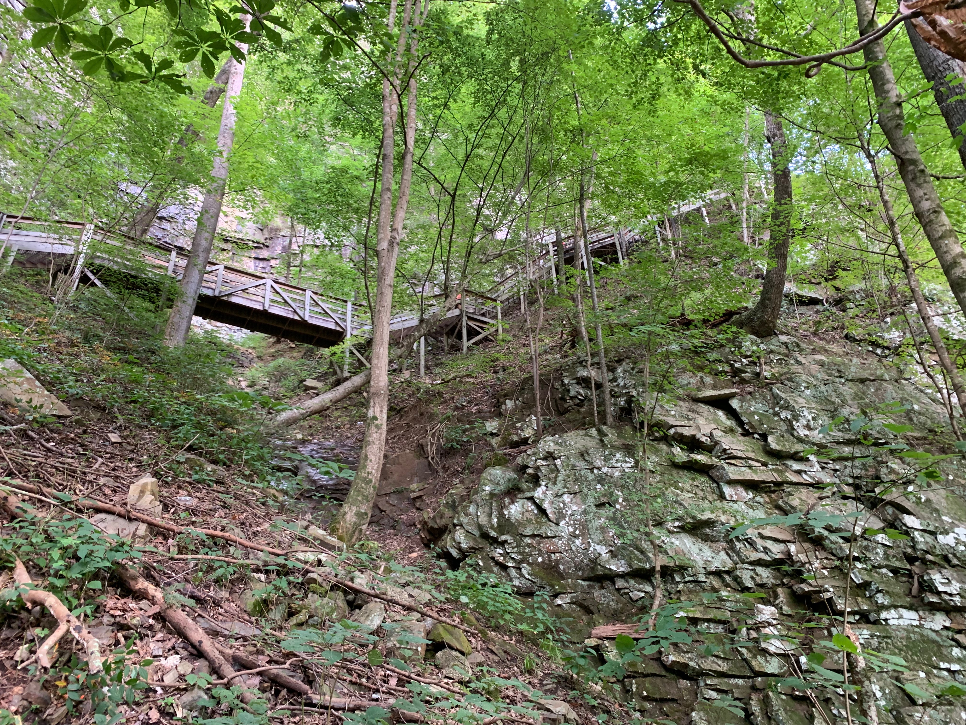 Some of the stairs on the waterfall trail.