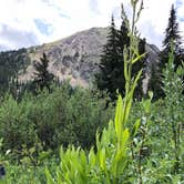 Review photo of Peru Creek Designated Dispersed Camping by Trevor F., August 12, 2019