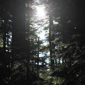Review photo of Panther Creek Campground by Bjorn S., January 5, 2015