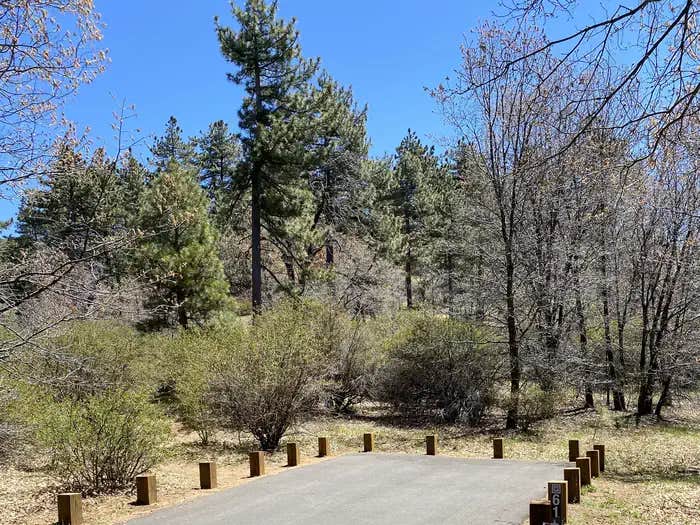 Camper submitted image from El Prado Campground - 1