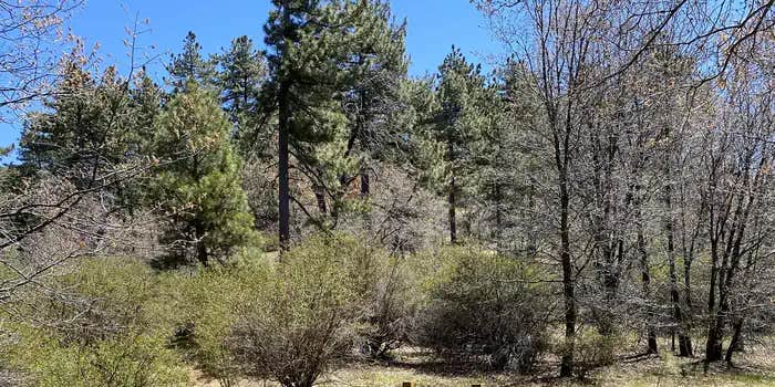 Camper submitted image from El Prado Campground