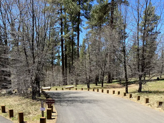 Camper-submitted photo at El Prado Campground near Ranchita, CA