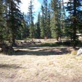 Review photo of Iron Springs Group Campground - Ashley National Forest by Kam L., September 25, 2016