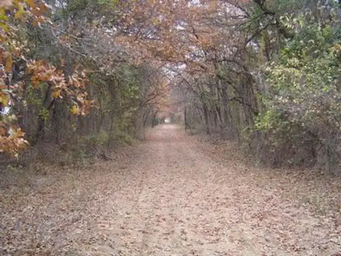 Camper-submitted photo at McCown Valley Park near Cleburne, TX