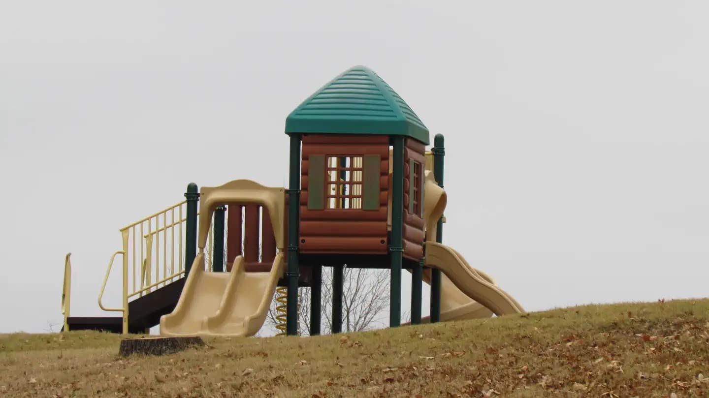 Camper submitted image from Lakeview - Bull Shoals Lake - 1