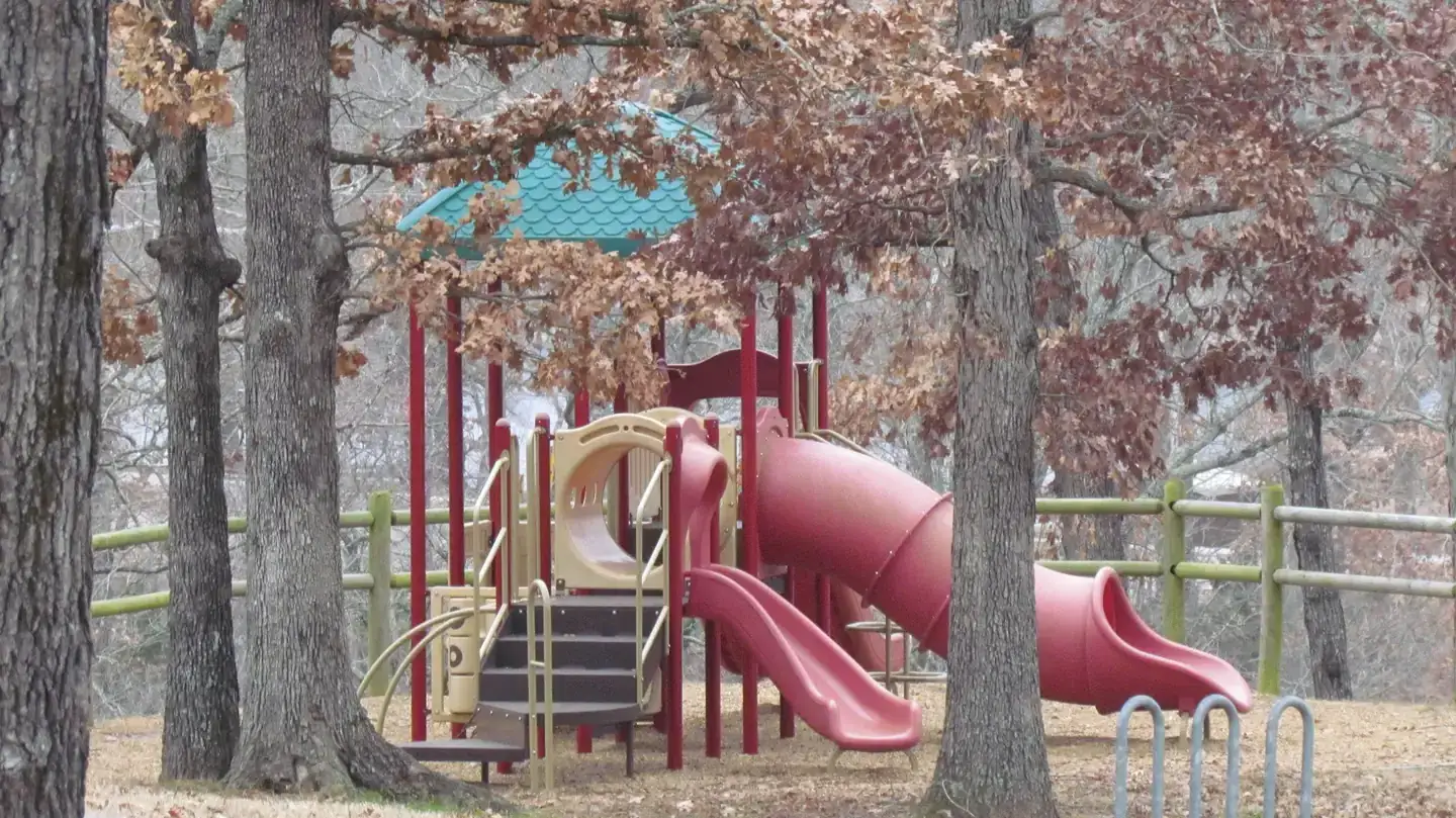 Camper-submitted photo at Lakeview - Bull Shoals Lake near Norfork, AR