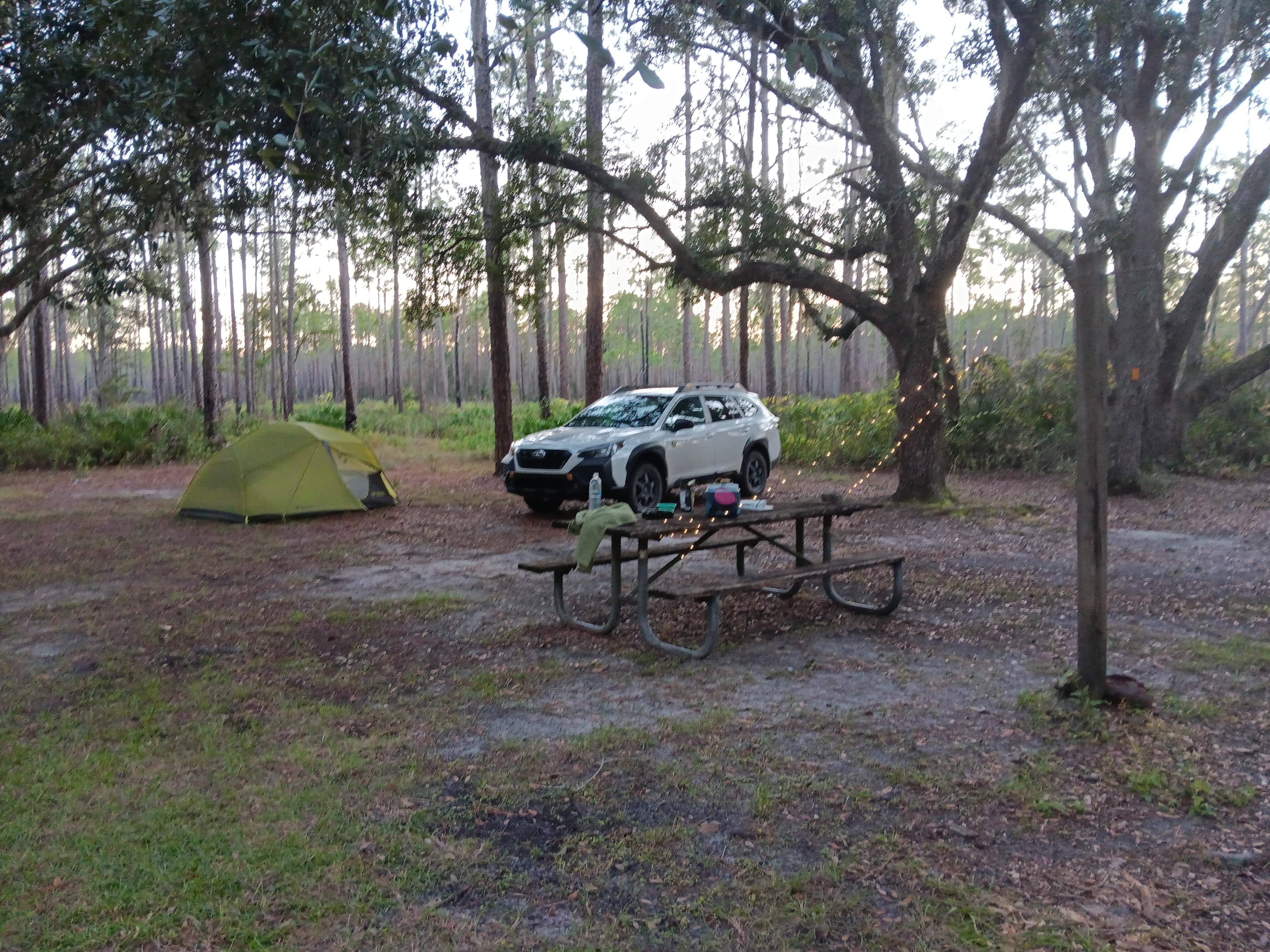 Camper submitted image from West Tower Hunt Camp - 1