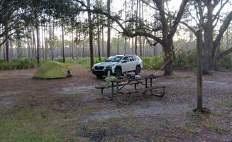 Jennifer M.'s photo of a dispersed camping area at West Tower Hunt Camp near Osceola National Forest