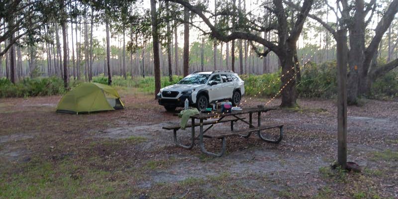 Camper submitted image from West Tower Hunt Camp