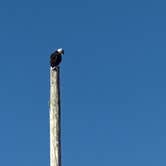 Review photo of Jetty Fishery Marina & RV Park by Greg K., November 2, 2025