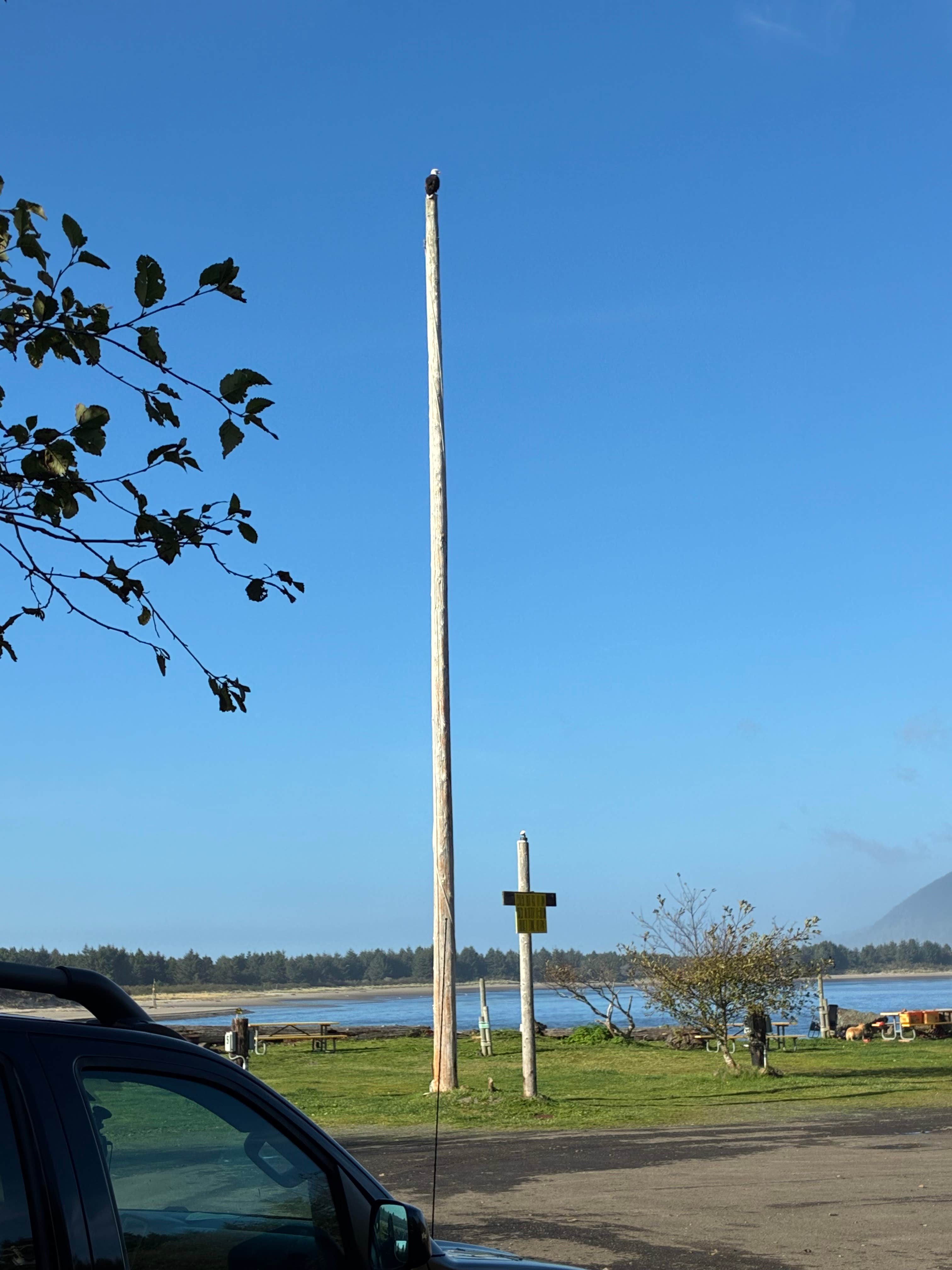 Camper-submitted photo at Jetty Fishery Marina & RV Park near Cannon Beach, OR