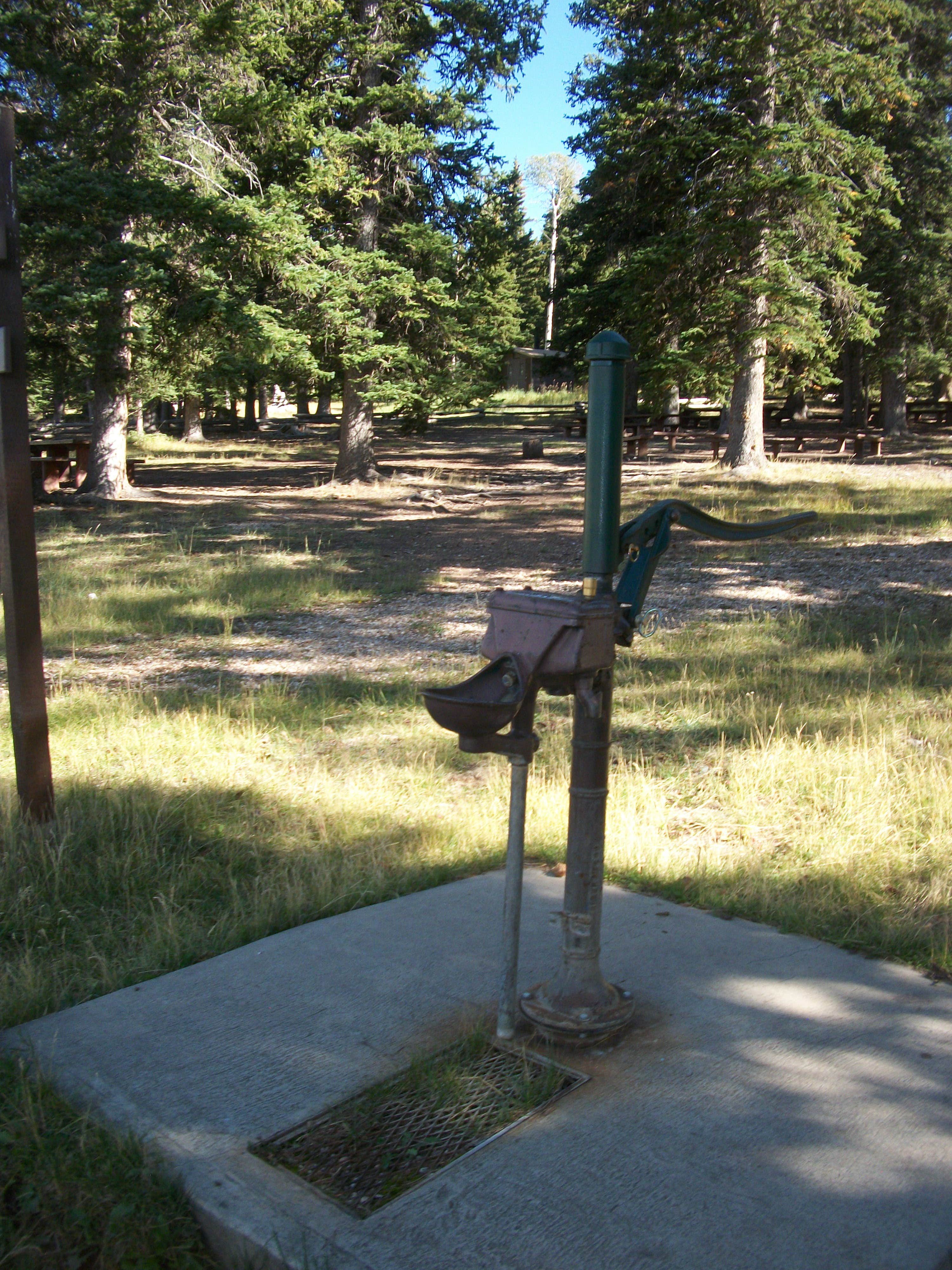 Camper submitted image from Iron Springs Group Campground - Ashley National Forest - 4