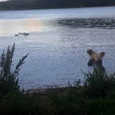 Review photo of Castle Mountain Recreation Area at Wellington Lake by Linda D., August 12, 2019