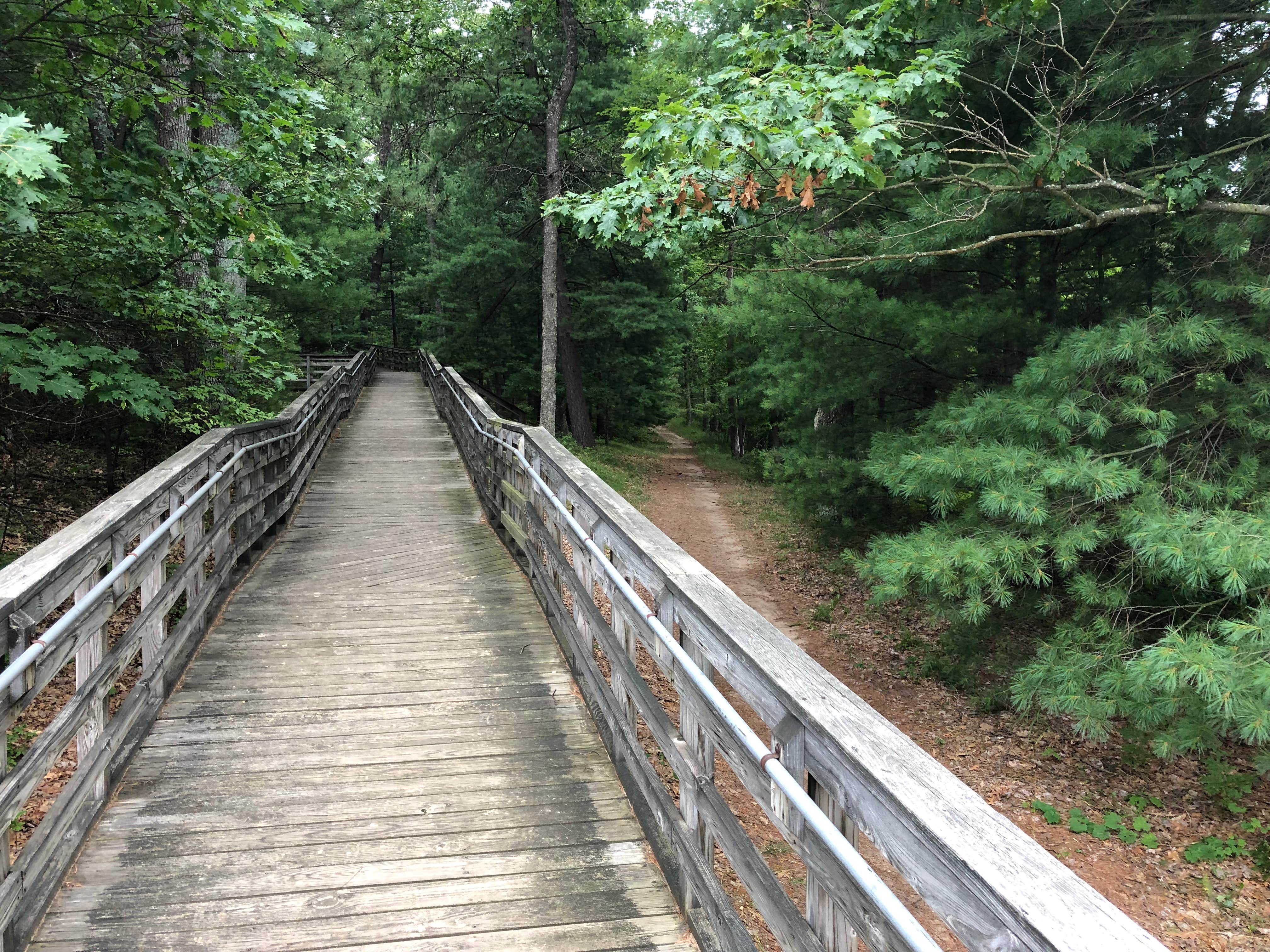 Walkway to beach from campground