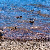 Review photo of Rainbow Bay at Lake of the Woods by Marisa Y., August 12, 2019