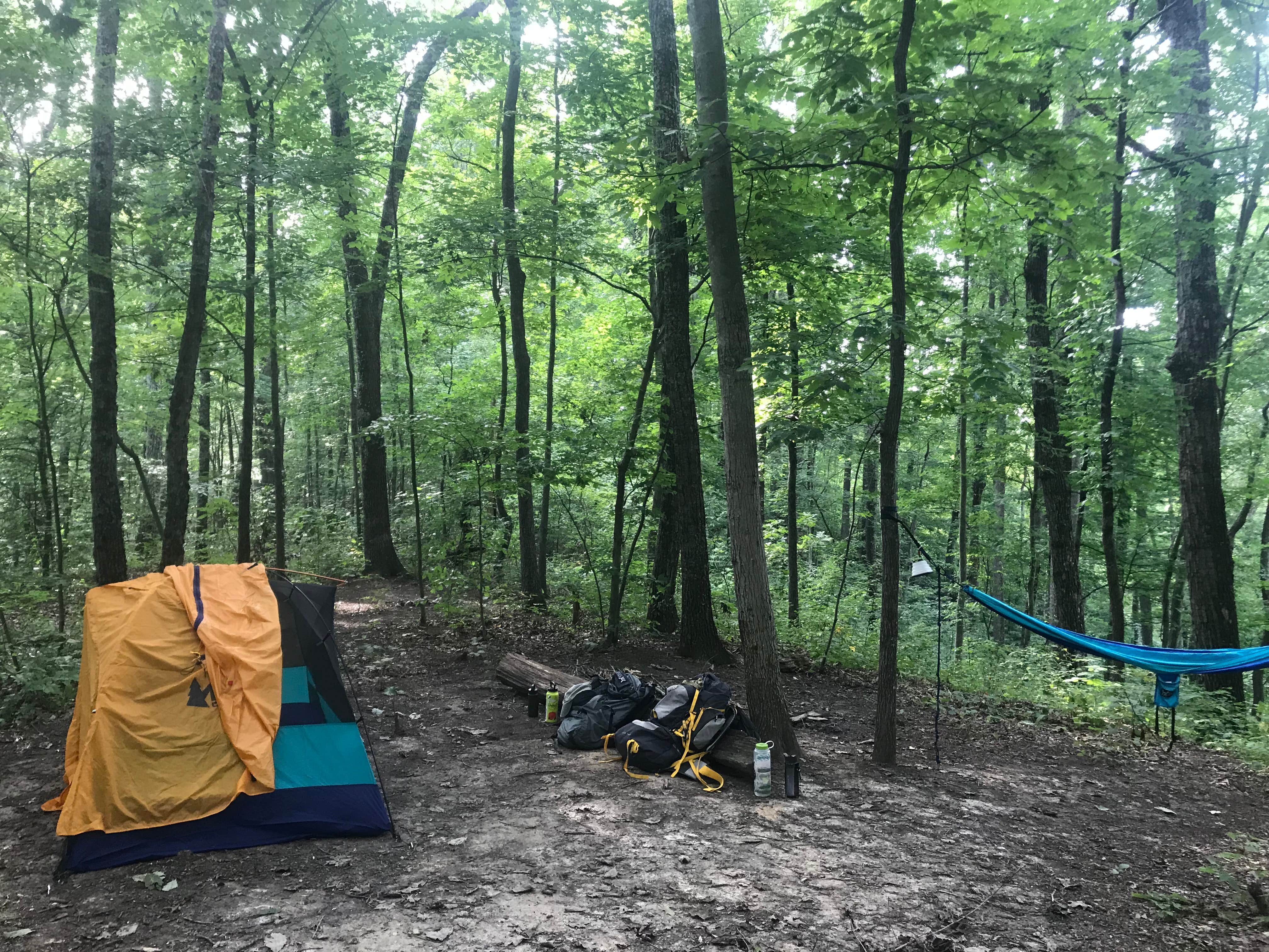 Ruby W.'s photo of tent camping at Zaleski State Forest near Zaleski, OH