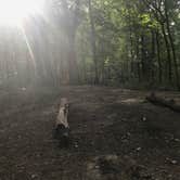 Review photo of Zaleski State Forest by Ruby W., August 12, 2019