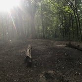Review photo of Zaleski State Forest by Ruby W., August 12, 2019