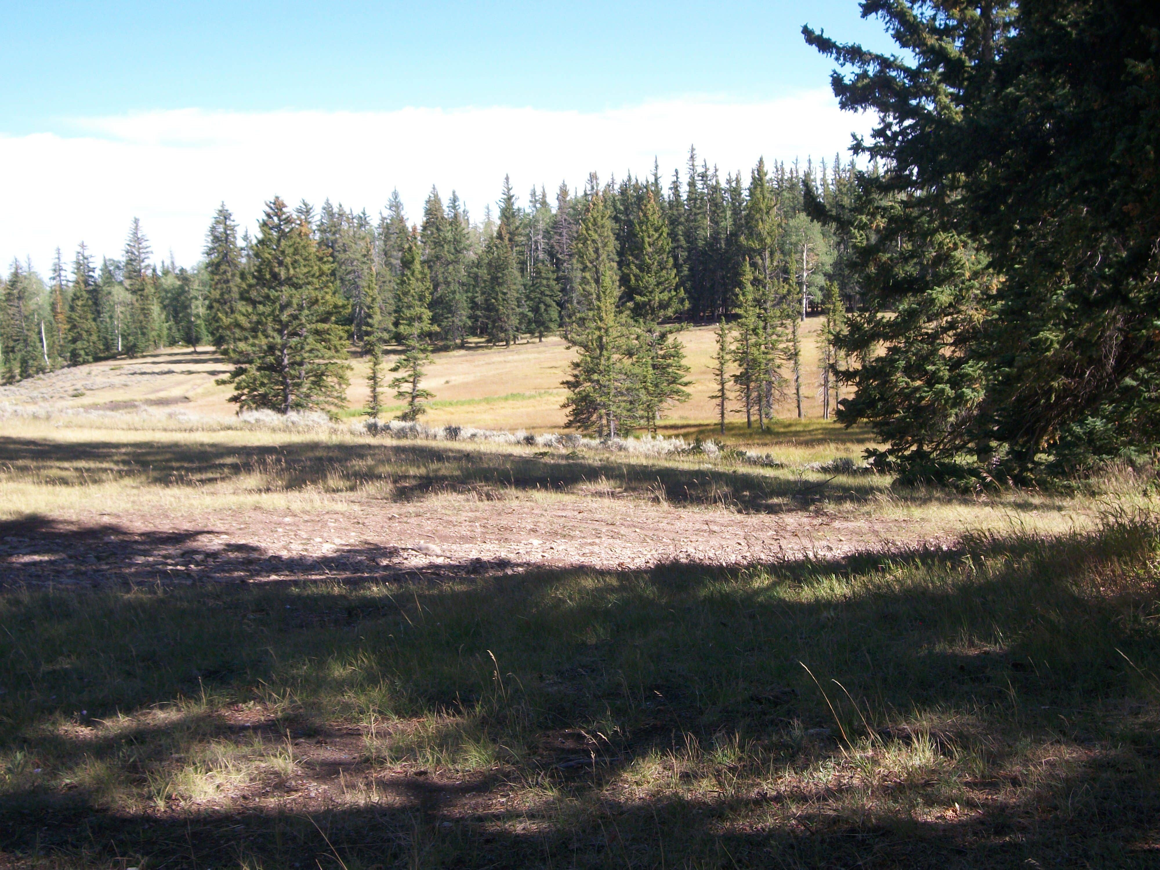 Camper-submitted photo at Kane Hollow near Whiterocks, UT