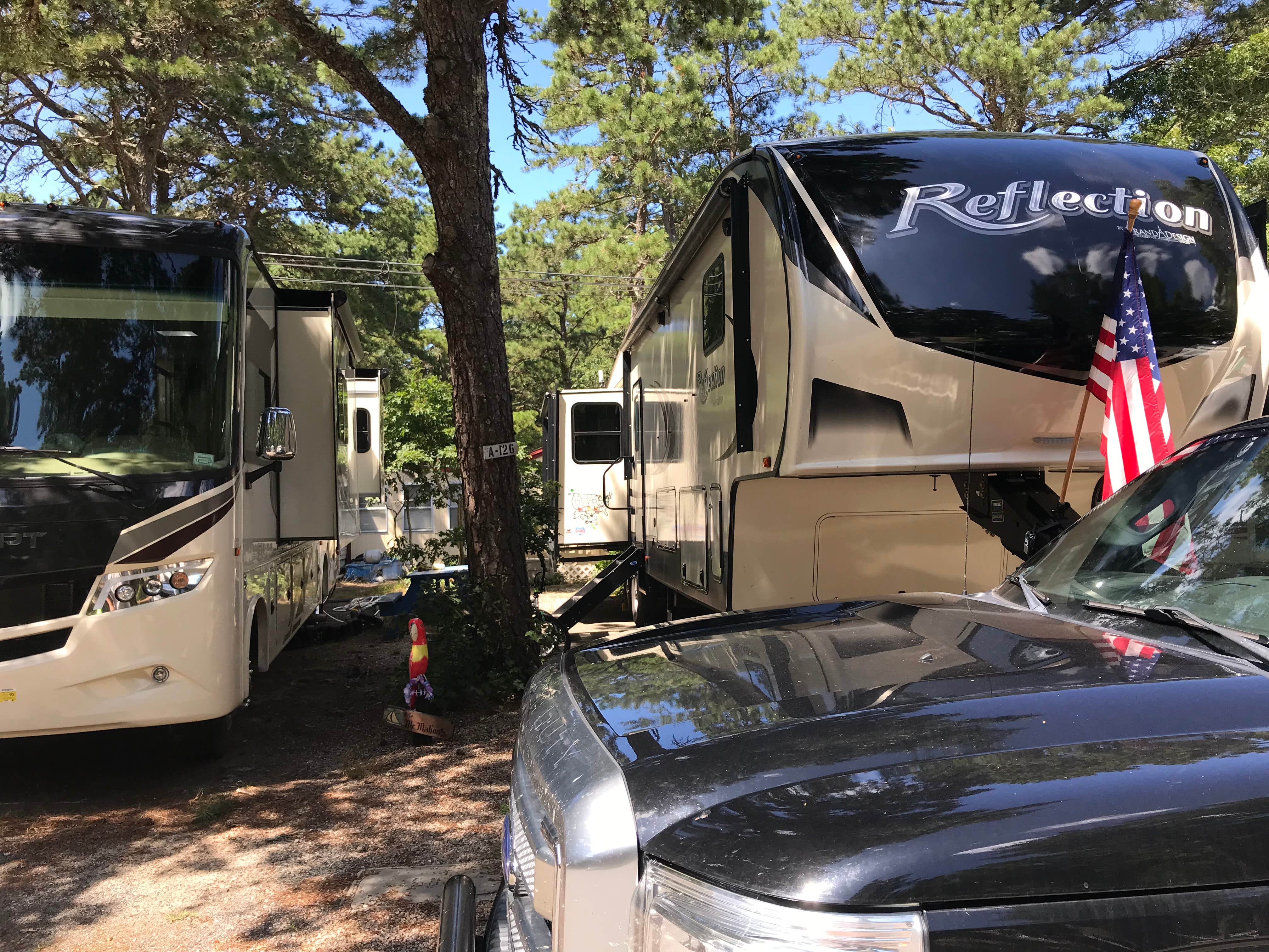 Camper submitted image from Old Chatham Road RV Resort - 4