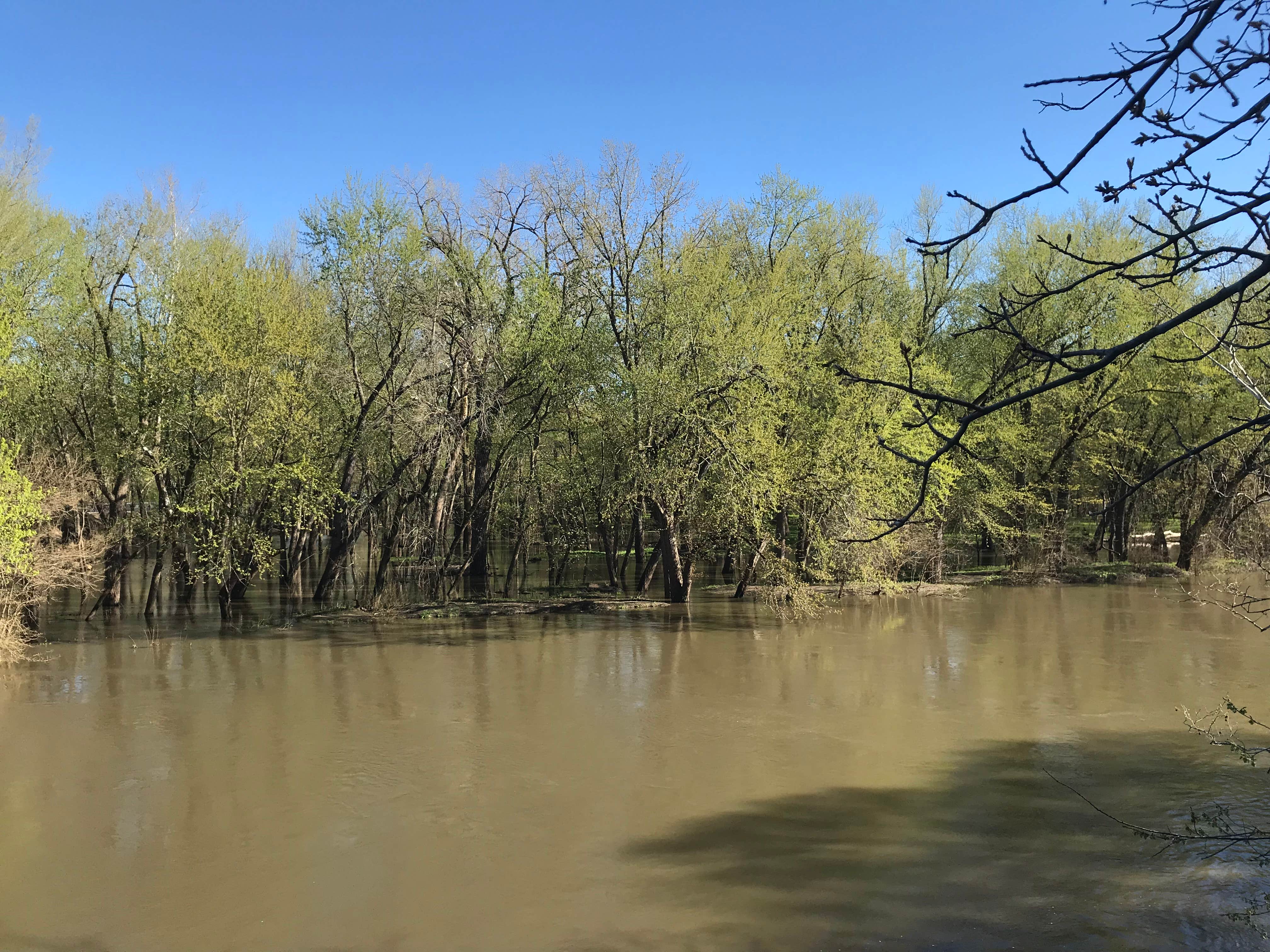 Camper-submitted photo at Riverside Park near Mapleton, IL