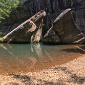 Review photo of Bell Smith Springs Recreation Area by Layton F., August 12, 2019