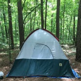 Review photo of Redbud Campground at Bell Smith Springs by Layton F., August 12, 2019