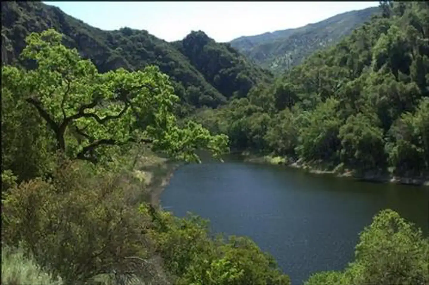 Camper-submitted photo at Arroyo Seco near Pinnacles, CA