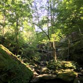 Review photo of Redbud Campground at Bell Smith Springs by Layton F., August 12, 2019