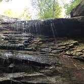 Review photo of Redbud Campground at Bell Smith Springs by Layton F., August 12, 2019