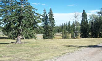 Camping near Range Study Area - FS Road #217: Kane Hollow, Ashley National Forest, Utah