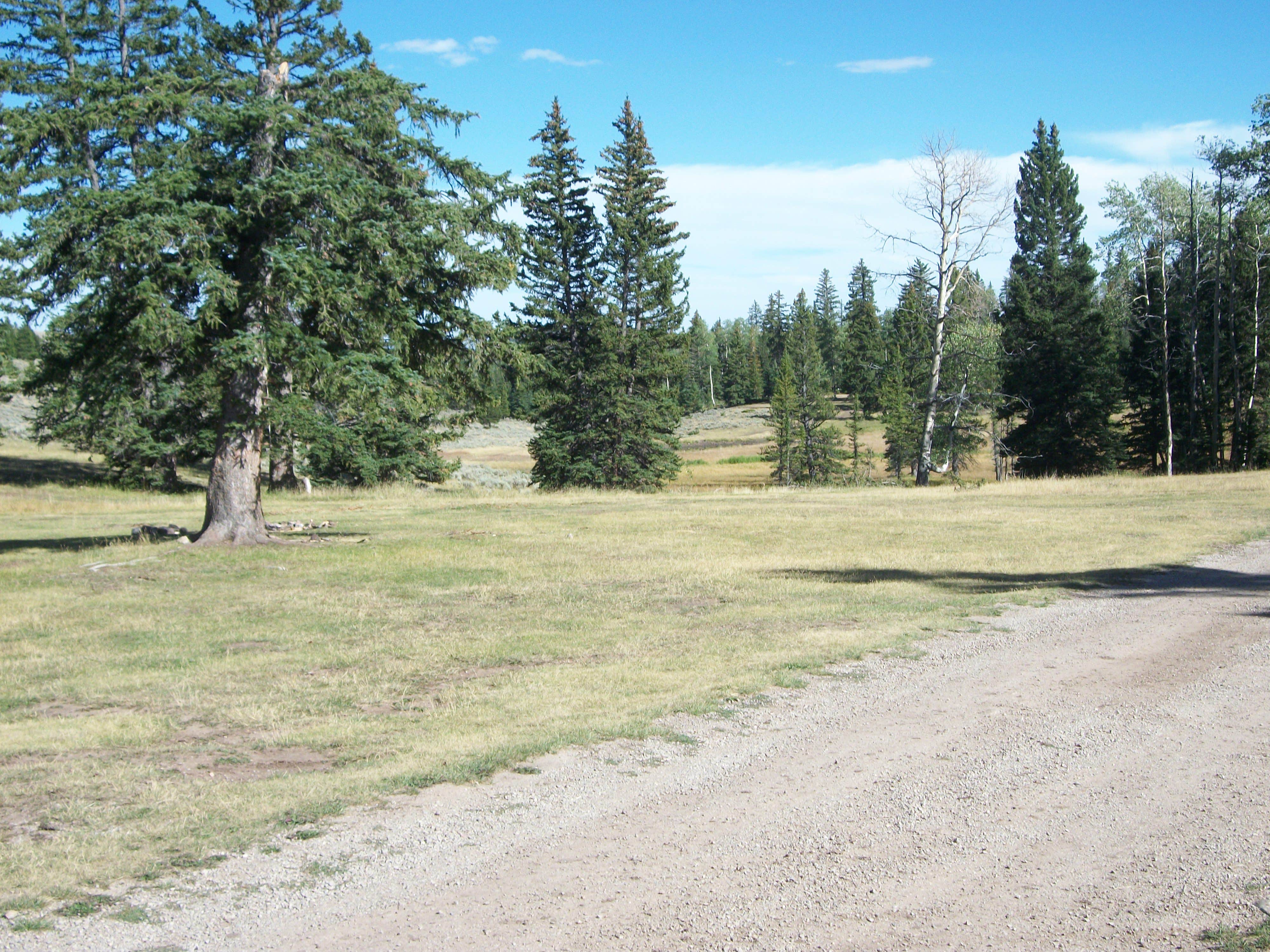 Camper submitted image from Kane Hollow - 1