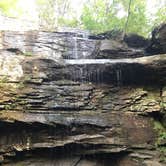 Review photo of Redbud Campground at Bell Smith Springs by Layton F., August 12, 2019