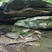 Review photo of Redbud Campground at Bell Smith Springs by Layton F., August 12, 2019