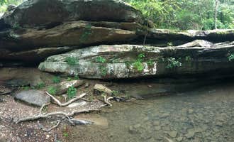 Camping near Trail of Tears State Forest: Jackson Falls, Shawnee National Forest, Illinois