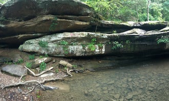 Camping near Teal Pond: Jackson Falls, Shawnee National Forest, Illinois