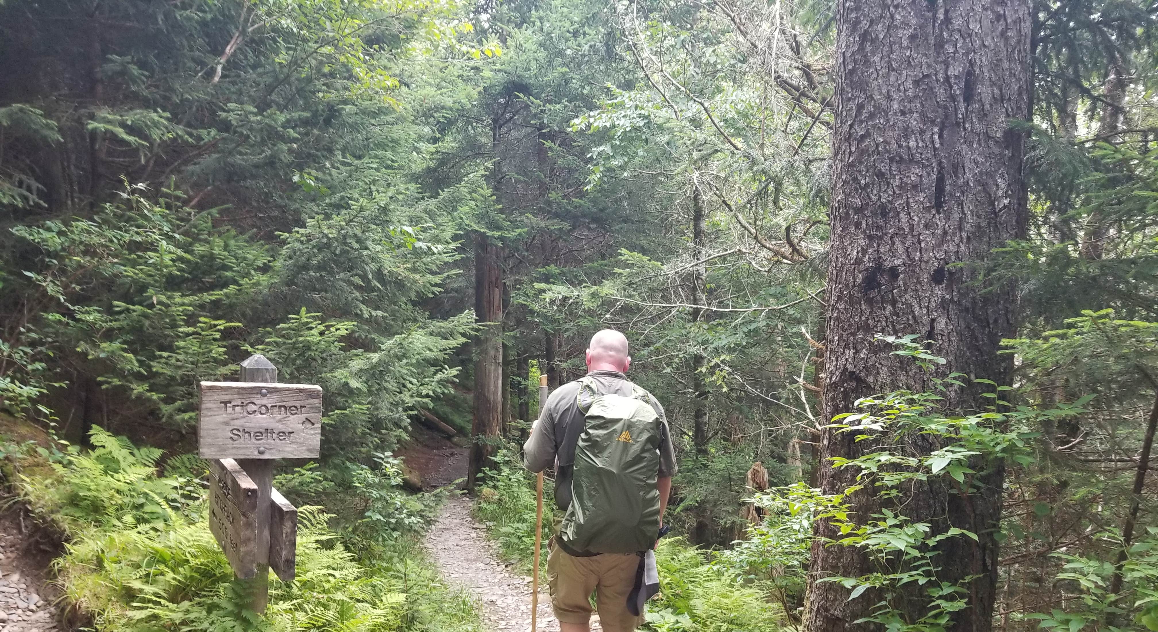 Man Hiking to Tricorner Knob Shelter Great Smoky Mountains National Park