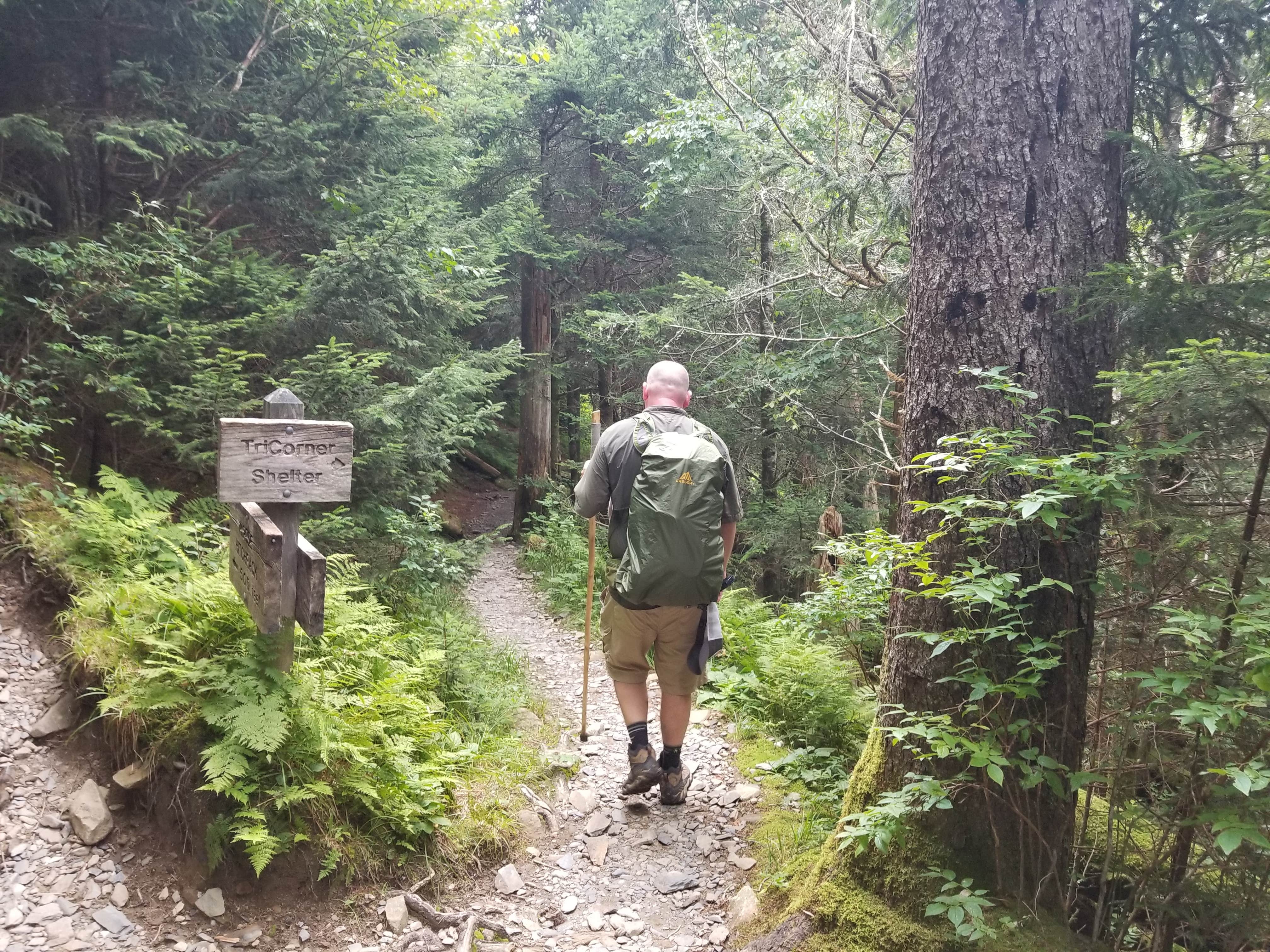 Camper submitted image from Tricorner Knob Shelter — Great Smoky Mountains National Park - 2