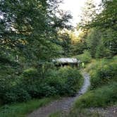 Review photo of Tricorner Knob Shelter — Great Smoky Mountains National Park by Christina  Z., August 12, 2019