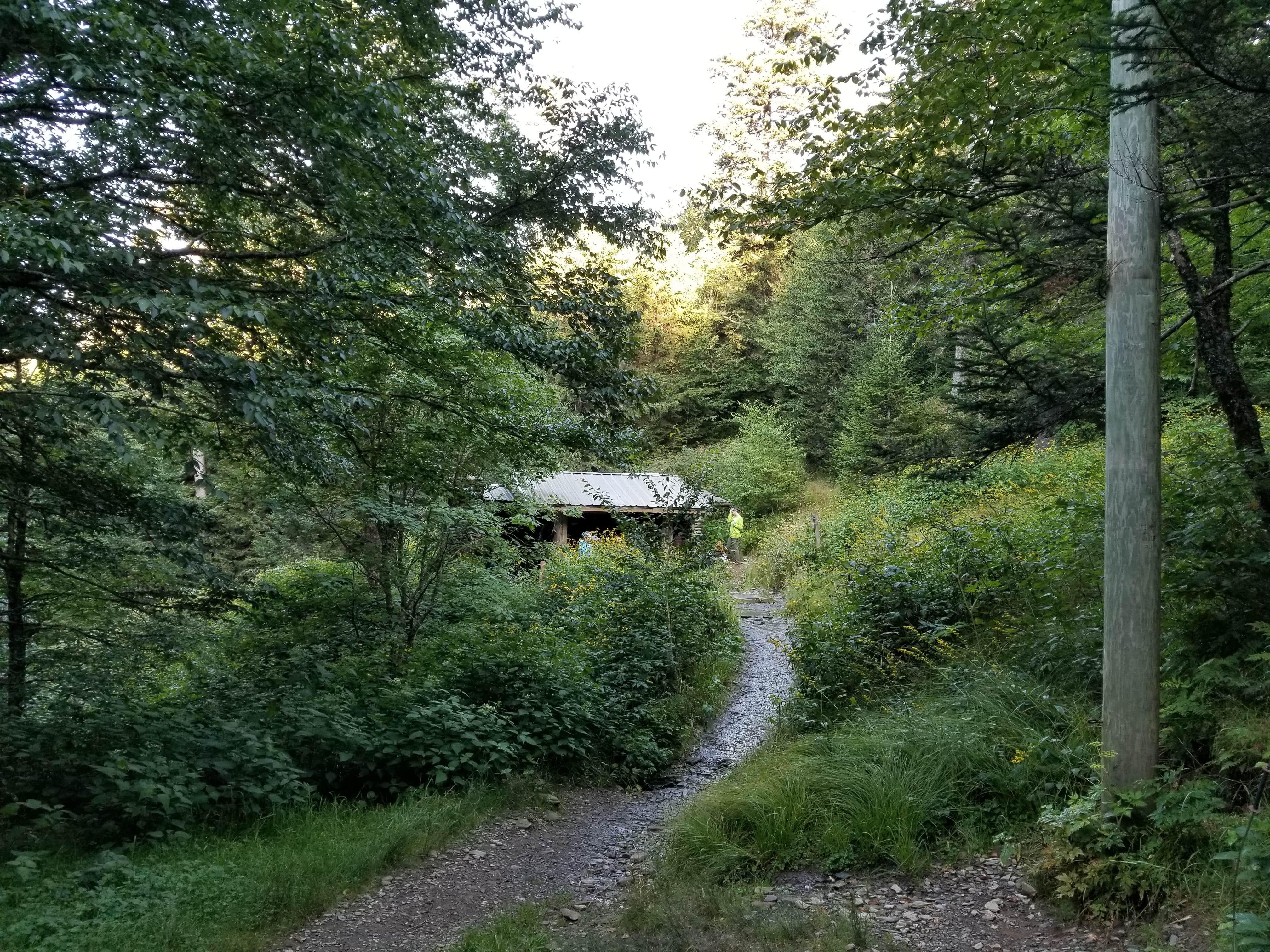 Camper submitted image from Tricorner Knob Shelter — Great Smoky Mountains National Park - 4