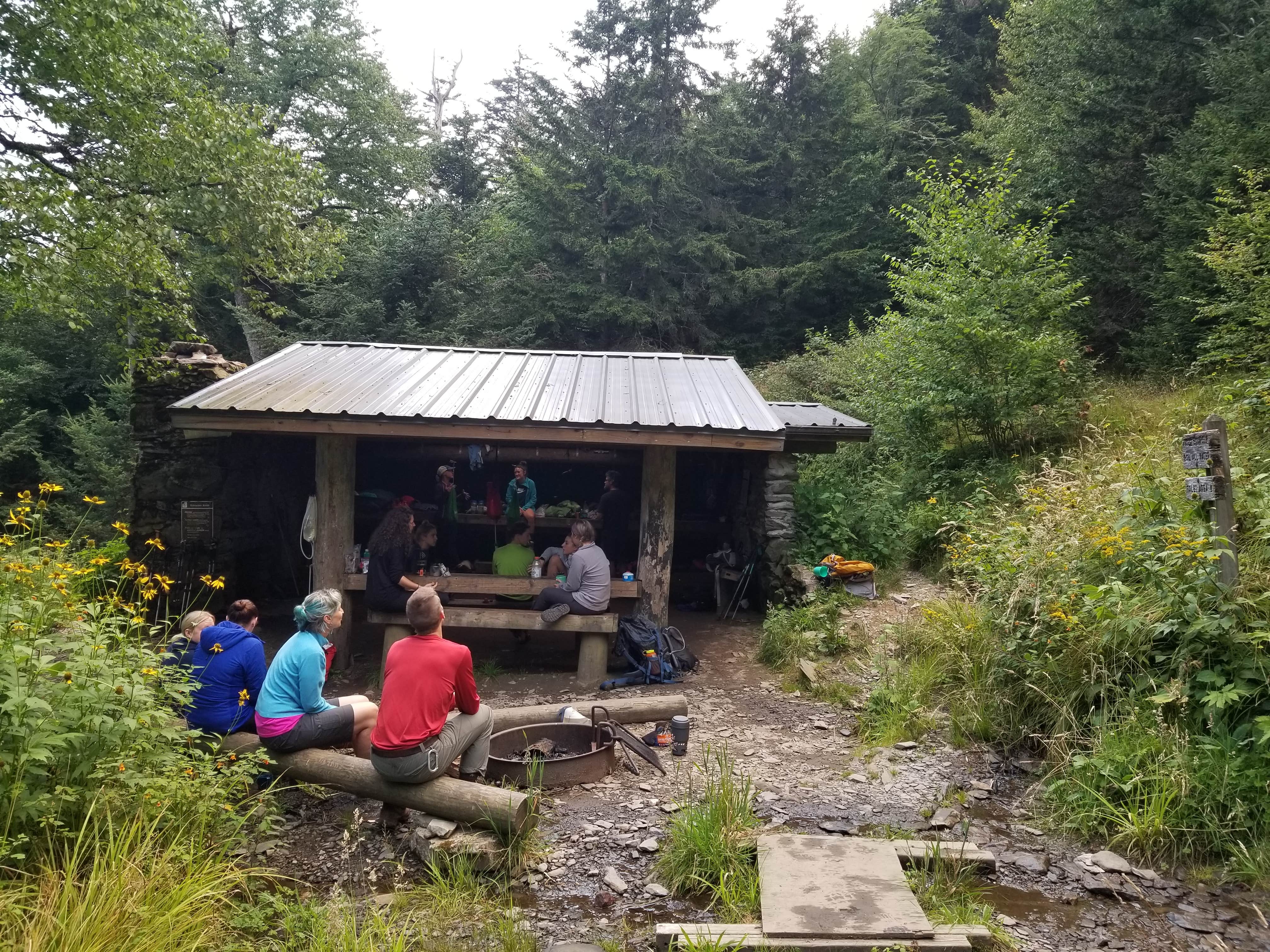 Camper submitted image from Tricorner Knob Shelter — Great Smoky Mountains National Park - 5
